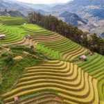 Đuổi theo mặt trời ngắm ruộng bậc thang đẹp như tranh vẽ Đuổi theo mặt trời ngắm ruộng bậc thang đẹp như tranh vẽ - Ảnh 1.