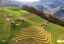 Đuổi theo mặt trời ngắm ruộng bậc thang đẹp như tranh vẽ Đuổi theo mặt trời ngắm ruộng bậc thang đẹp như tranh vẽ - Ảnh 1.