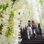 Khuyến khích người TP.HCM đi du lịch tỉnh khác du lich viet nam anh 1