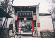 Ngôi chùa hàng nghìn năm tuổi bỗng dưng nổi tiếng chỉ vì loài cây này Ngôi chùa hàng nghìn năm tuổi bỗng dưng nổi tiếng chỉ vì loài cây này - 1