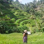 Đến Bali mà bỏ qua nơi này thì phí cả chuyến đi Đến Bali mà bỏ qua nơi này thì phí cả chuyến đi - 1