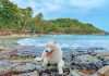 Kinh nghiệm vi vu Phú Quốc cùng thú cưng Phu Quoc anh 1