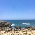 Ninh Thuận – Vùng đất đâu chỉ có nắng và gió Ninh Thuận - Vùng đất đâu chỉ có nắng và gió - 1