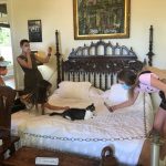 Đàn mèo đột biến ở nhà Hemingway hút khách tham quan nha van Hemingway anh 1