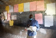 Trường học đóng cửa do COVID-19, giáo viên nuôi gà trong lớp Trường học đóng cửa do COVID-19, giáo viên nuôi gà trong lớp - Ảnh 1.