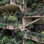 “Thiên đường” sinh thái đô thị bị bỏ hoang vì nhiều muỗi “Thiên đường” sinh thái đô thị bị bỏ hoang vì nhiều muỗi - Ảnh 1.