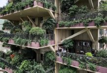 “Thiên đường” sinh thái đô thị bị bỏ hoang vì nhiều muỗi “Thiên đường” sinh thái đô thị bị bỏ hoang vì nhiều muỗi - Ảnh 1.