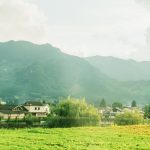 Ghé thăm cội nguồn nước Nhật du lich Nhat Ban anh 1