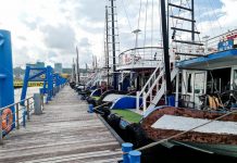 Quảng Ninh tung thêm gói kích cầu du lịch gần 100 tỉ đồng Hàng trăm tàu du lịch vịnh Hạ Long nằm bờ vì đói khách /// Ảnh Lã Nghĩa Hiếu