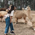 Vườn thú Zoodoo Đà Lạt – Kinh nghiệm khám phá vườn thú phong cách Úc cực thú vị vườn thú zoodoo đà lạt