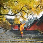 Mùa thu đẹp ở các địa danh trong truyện Kim Dung Du lich Trung Quoc anh 1