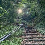 Lên lịch ăn chơi Tam Đảo trong 24 giờ du lich tam dao anh 1