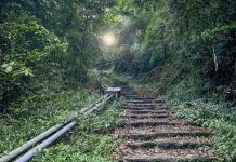 Lên lịch ăn chơi Tam Đảo trong 24 giờ du lich tam dao anh 1