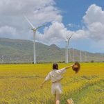 Đến Ninh Thuận check-in, chụp hình ở đâu? Ninh Thuan anh 1