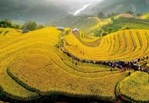 ‘Hậu trường’ trăm người xếp hàng chụp ảnh ruộng bậc thang Mù Cang Chải Hậu trường hàng trăm người xếp hàng chụp ảnh ruộng bậc thang Mù Cang Chải - 1