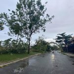 Giàn hoa giấy ở Hội An đổ sập sau bão số 9 bao so 9 anh 1