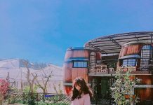 5 homestay phong cách lạ tại Đà Lạt Da Lat anh 1