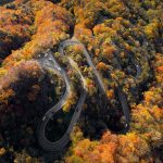 Rừng cây lá vàng trên cung đường 48 khúc cua ở Nhật Bản Nhat Ban anh 1