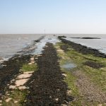 Con đường chết chóc nhất nước Anh Con duong chet choc nhat nuoc Anh anh 1