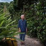 Bí quyết sống lâu của người dân ngôi làng trường thọ ở Nhật Bi quyet song lau anh 1