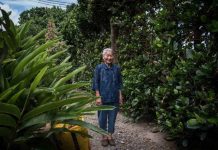 Bí quyết sống lâu của người dân ngôi làng trường thọ ở Nhật Bi quyet song lau anh 1