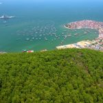 Thị xã nào có nhiều đơn vị hành chính nhất Việt Nam? thi xa nhieu don vi hanh chinh nhat anh 1