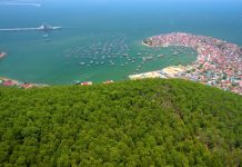 Thị xã nào có nhiều đơn vị hành chính nhất Việt Nam? thi xa nhieu don vi hanh chinh nhat anh 1