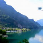 Giáo sư Lương Ngọc Huỳnh chia sẻ kinh nghiệm khi đi rừng, đảo Giáo sư Lương Ngọc Huỳnh chia sẻ kinh nghiệm khi đi rừng, đảo