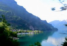 Giáo sư Lương Ngọc Huỳnh chia sẻ kinh nghiệm khi đi rừng, đảo Giáo sư Lương Ngọc Huỳnh chia sẻ kinh nghiệm khi đi rừng, đảo