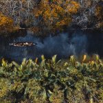 Rừng ngập mặn xứ Huế đẹp ma mị khi thu sang Hue anh 1