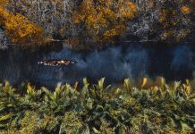 Rừng ngập mặn xứ Huế đẹp ma mị khi thu sang Hue anh 1