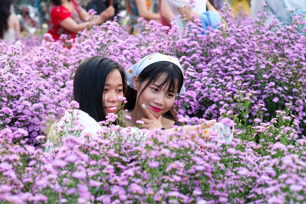 Lần đầu tiên Đà Nẵng có vườn hoa thạch thảo, người người nô nức check-in - ảnh 2