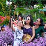 Lần đầu tiên Đà Nẵng có vườn hoa thạch thảo, người người nô nức check-in Người dân Đà Nẵng thích thú check-in cùng vườn hoa thạch thảo "đặc biệt" /// HUY ĐẠT