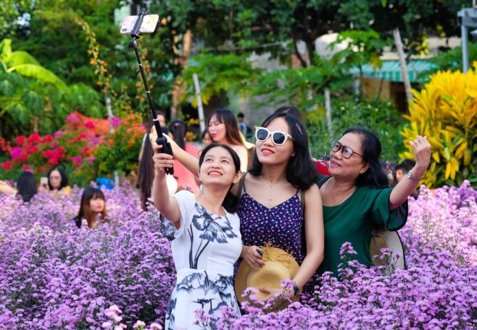 Người dân Đà Nẵng thích thú check-in cùng vườn hoa thạch thảo 