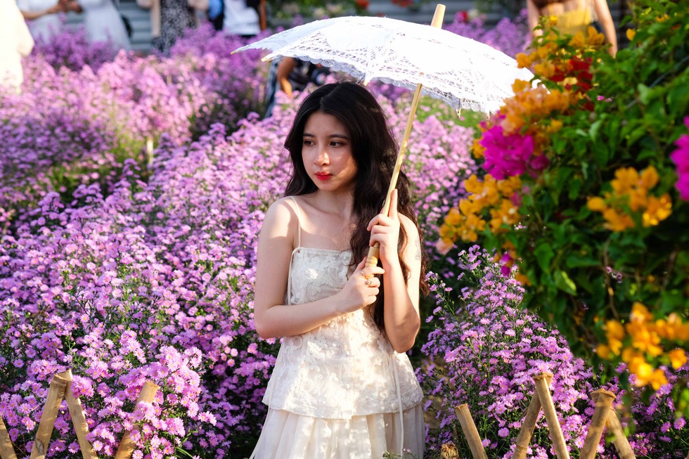 Lần đầu tiên Đà Nẵng có vườn hoa thạch thảo, người người nô nức check-in - ảnh 6