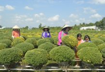 Đồng Tháp ‘đánh thức’ tiềm năng du lịch Làng hoa Sa Đéc (TP.Sa Đéc, Đồng Tháp) mỗi năm thu hút hàng triệu du khách đến tham quan /// Trần Ngọc