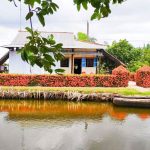 ‘Độc nhất’ miền Tây: Hàng rào bông trang đỏ rực vùng miệt thứ Hàng rào bằng hoa trang của lão nông vùng miệt thứ sáng rực cả một góc sông /// ẢNH: THANH NHÃ