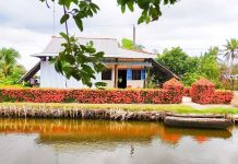 ‘Độc nhất’ miền Tây: Hàng rào bông trang đỏ rực vùng miệt thứ Hàng rào bằng hoa trang của lão nông vùng miệt thứ sáng rực cả một góc sông /// ẢNH: THANH NHÃ