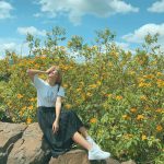 Những mùa hoa hút khách check-in dịp cuối năm Nhung mua hoa dip cuoi nam anh 1