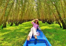 Miền Tây mùa nước nổi, thử về rừng tràm Trà Sư ăn lẩu cá linh ‘độc quyền’ Khám phá cảnh sắc tuyệt đẹp mà thiên nhiên ban tặng cho rừng tràm Trà Sư trong mùa nước nổi /// Ảnh: Vina Group