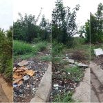 Con đường ô nhiễm, đầy rác giờ rực rỡ sắc hoa ở Sài Gòn Con đường ô nhiễm, đầy rác giờ rực rỡ sắc hoa ở Sài Gòn