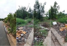 Con đường ô nhiễm, đầy rác giờ rực rỡ sắc hoa ở Sài Gòn Con đường ô nhiễm, đầy rác giờ rực rỡ sắc hoa ở Sài Gòn