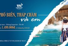 Chơi gì ở đâu khi chỉ có 24 giờ tại Ninh Thuận? Combo trọn gói hấp dẫn gồm lưu trú, city tour và ăn tối
