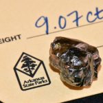 Thử tìm đá quý, nhặt được kim cương 9 carat trong công viên Thử tìm đá quý, nhặt được kim cương 9 carat trong công viên - Ảnh 1.