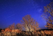 Tháng 10: cơ hội chiêm ngưỡng mưa sao băng đẹp nhất 2020 Tháng 10: cơ hội chiêm ngưỡng mưa sao băng đẹp nhất 2020 - Ảnh 1.