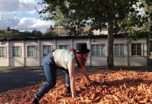 Kỳ lạ, đổ 240.000 củ cà rốt ra phố để trưng bày nghệ thuật Kỳ lạ, đổ 240.000 củ cà rốt ra phố để trưng bày nghệ thuật - Ảnh 1.