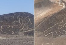 Phát hiện hình vẽ mèo khổng lồ nghìn tuổi nằm vắt vẻo giữa sa mạc Phát hiện hình vẽ mèo khổng lồ nghìn tuổi nằm vắt vẻo giữa sa mạc - Ảnh 1.