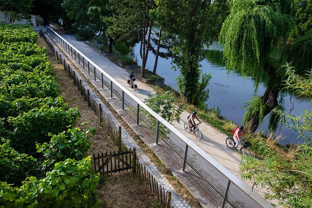 Ra mắt 420km đường đạp xe tựa như tranh vẽ tại Pháp - Ảnh 2.