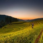 Ngắm dải ngân hà đẹp như phim ở Mù Cang Chải Ngắm dải ngân hà đẹp như phim ở Mù Cang Chải