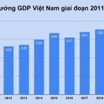 VEPR hạ mức dự báo tăng trưởng GDP Việt Nam trong năm 2020 VEPR ha muc du bao tang truong GDP Viet Nam trong nam 2020 anh 1